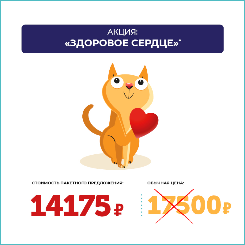 Программа “Здоровое сердце” Программа “Здоровое сердце”